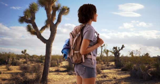 モハーヴェ砂漠を探検する素敵な若い女性ハイカー ジョシュアツリーに隔離された黒人女性 — ストック動画