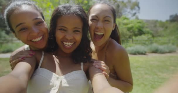 Attractive Women Taking Selfie Outdoors — Stock Video
