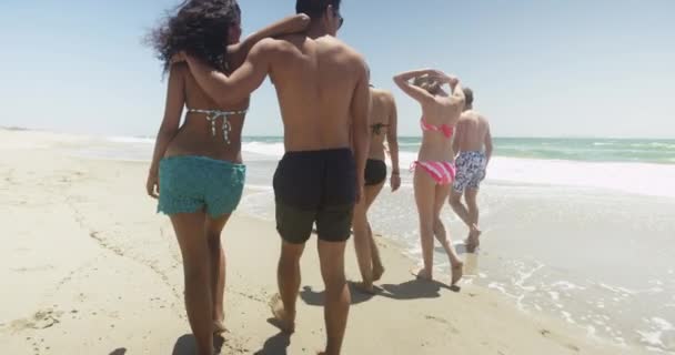 一群混杂的年轻朋友在海滩上的水边慢悠悠地走着 — 图库视频影像
