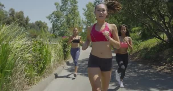 Fit Jonge Vrouwen Rennen Het Park — Stockvideo