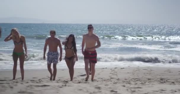 ビーチの海岸に歩いて異人種間の友人の本物の若いグループ — ストック動画