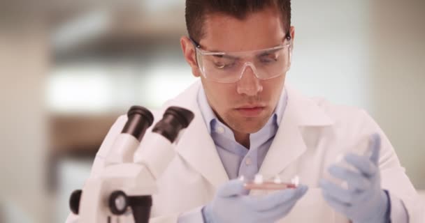 Millennial Latino Lékařského Výzkumu Vědec Laboratoři Studuje Petriho Misky Laboratorní — Stock video
