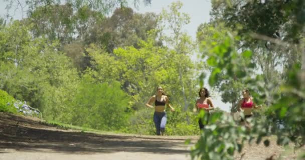 Jóvenes Mujeres Felices Corriendo Juntas Parque — Vídeos de Stock