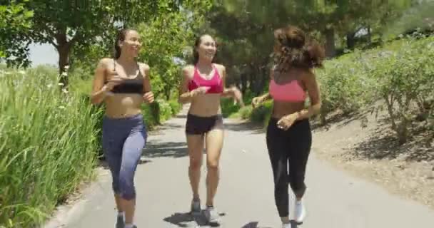 Nők Lelassulnak Miután Parkban Futottak — Stock videók