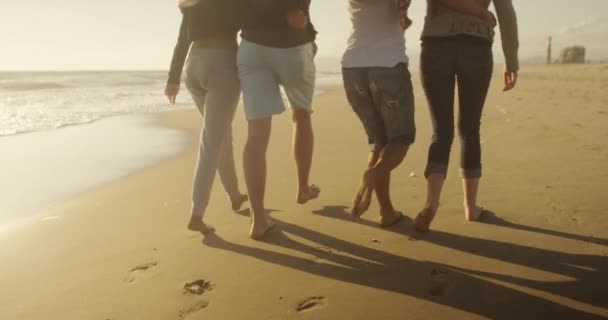 Teman Berjalan Sepanjang Pantai Bersama Sama — Stok Video