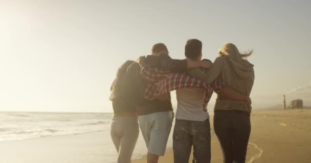 Sekelompok Teman Berjalan Sepanjang Pantai Bersama Sama — Stok Video