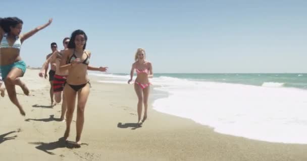 Mladé Různé Rasy Zdravé Dospělé Běží Pláži Zpomaleném Filmu — Stock video