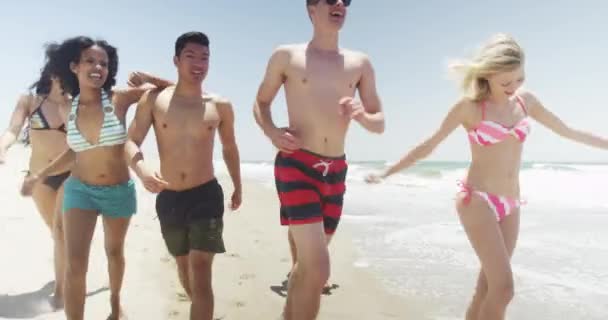 Sahilde Dolaşan Eğlenceli Genç Yetişkin Arkadaş Grubu — Stok video