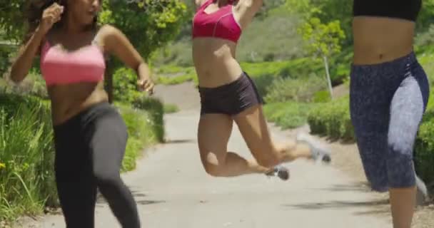 Mujeres Saltando Corriendo Parque — Vídeo de stock