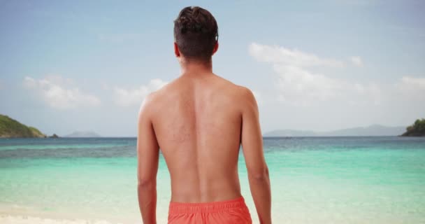 Tourist Looking Out Caribbean Ocean Tropical Vacation Rear View Millennial — Stock Video