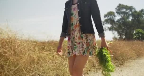 Güzel Köylü Kızı Taze Toplanmış Sebzelerle Yürüyor — Stok video