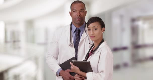 Médicos Afroamericanos Profesionales Posan Para Retrato Los Expertos Médicos Negros — Vídeos de Stock