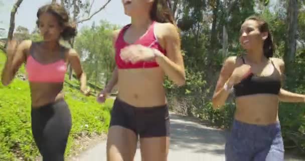 Щаслива Група Друзів Біжить Разом Парку — стокове відео