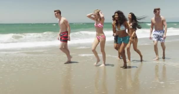 Fresco Giovani Amici Adulti Piedi Sulla Spiaggia Sabbia — Video Stock