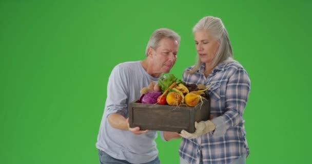 Чарівна Зріла Біла Пара Дивиться Свіжі Овочі — стокове відео