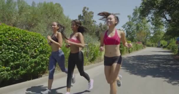 Femei Fericite Alergând Parc — Videoclip de stoc