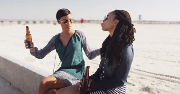 Mejores Amigos Hablando Playa Cerca Del Muelle Bebiendo Una Cerveza — Vídeos de Stock