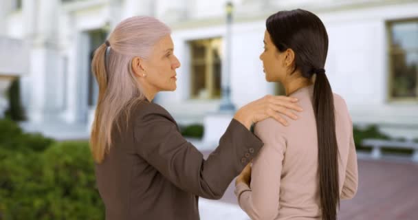 Professeur Conseille Étudiant Sur Campus Étudiant Parle Professeur Université — Video