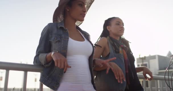 Dvě Afroameričanky Nejlepší Kamarádky Mluví Opírají Kovové Zábradlí Sluncem Zády — Stock video