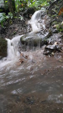 Ormanda güzel bir şelale