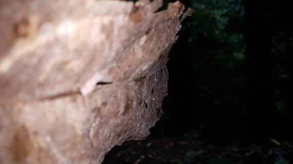 Bir Sürü Suyu Olan Eski Taş Duvar — Stok fotoğraf