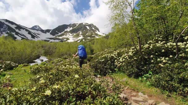 Mladý turista s modrým batohem a trekingovými tyčemi kráčí po stezce. — Stock video