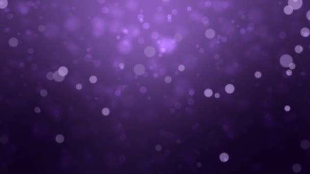 Animated Dark Purple Bokeh Background Glowing Light Particles — Video Stock