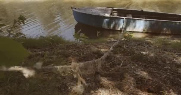 Starý modrý člun přivázaný provazem k dřevěnému molu jemně trčí na proudu řeky — Stock video