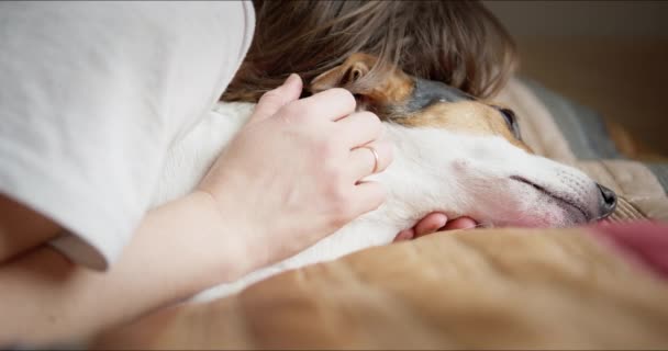 A tulaj simogatja a kutyáját, aki az ágyon pihen. — Stock videók