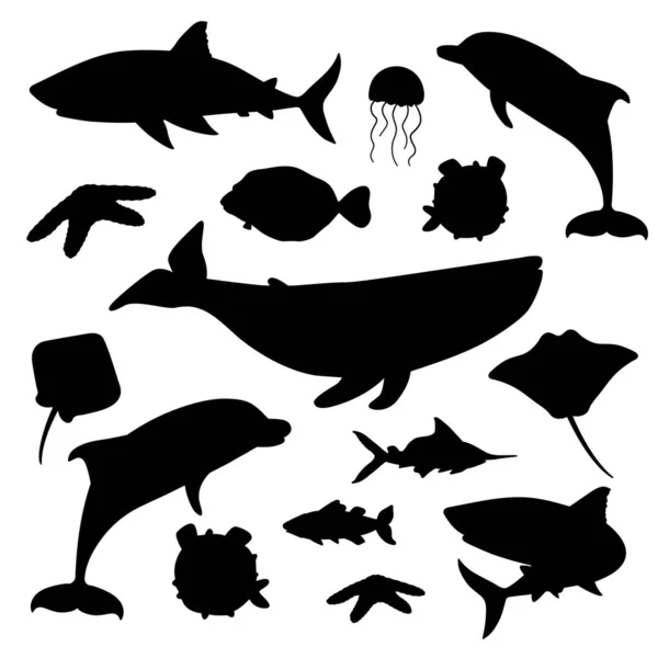 Sada černobílé siluety vektor karikatura oceán mořský tvar zvířat. Velryba, delfín, žralok, rejnok, medúza, ryba, hvězdy. Izolovaná zvířata na bílém pozadí, plochý styl — Stockový vektor