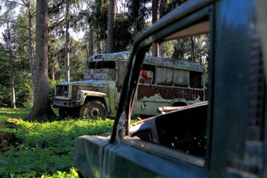 çıplak ağaçlar, sonbahar, gökyüzü, bulutlar, yapraksız ağaç gövdeleri