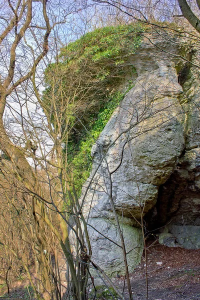 Landskap Med Klippor Och Träd Vårskogen — Stockfoto