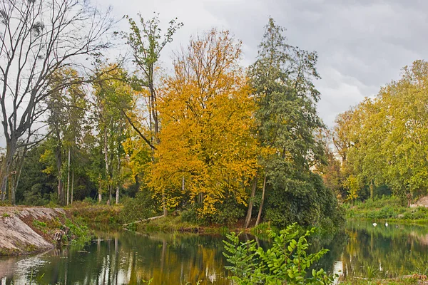 Étang Dans Parc Automne Avec Des Arbres Jaunes Par Temps — Photo