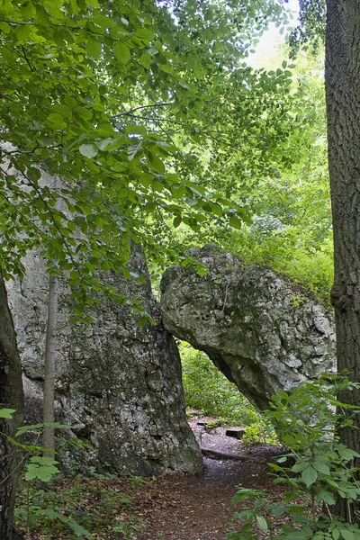 Дві Скелі Лісі Серед Зелених Дерев — стокове фото