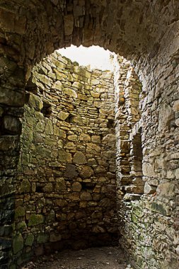  17. yüzyılın antik şatosu Ujazd, Polonya 'da Krzytopr