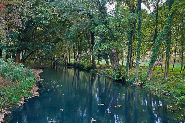 Landskap Med Liten Flod Parken Bland Träden — Stockfoto