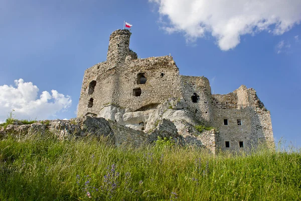 Mirow Středověký Hrad Století Orlí Hnízdiště Polsku — Stock fotografie