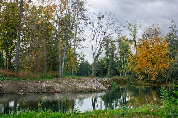 Pond Autumn Park Yellow Trees Cloudy Weather — Stock Photo, Image