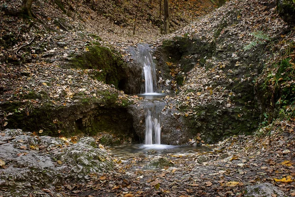 秋の森の中に小さな滝がある風景 — ストック写真