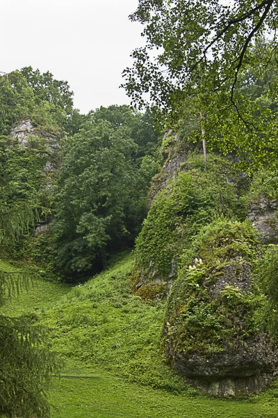 Красивий Літній Пейзаж Камінням Лісом — стокове фото