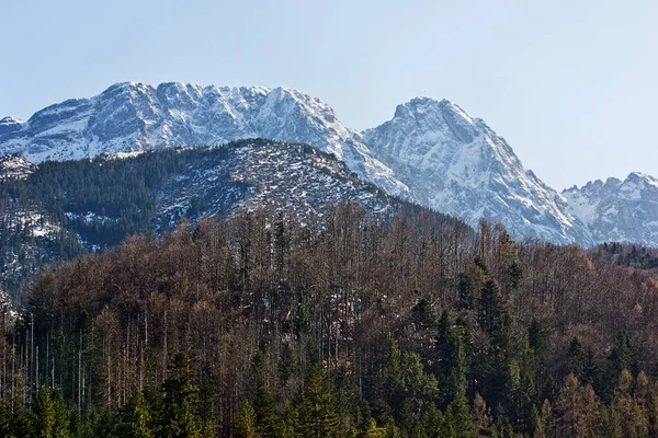 İlkbaharın başlarında Polonya Tatralarının karlı zirveleri