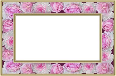  Frame with pink roses close-up and white background