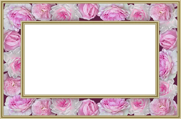 Frame Pink Roses Close White Background — Zdjęcie stockowe