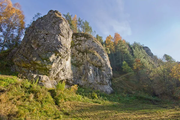 Осінній Пейзаж Скеля Осінньому Лісі — стокове фото