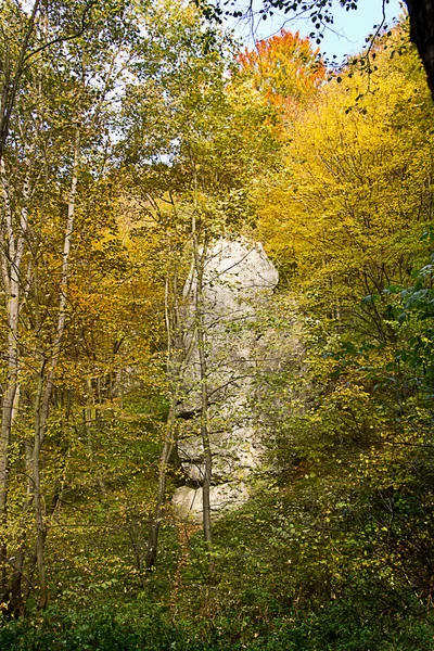 Осінній Пейзажний Камінь Жовтому Осінньому Лісі — стокове фото