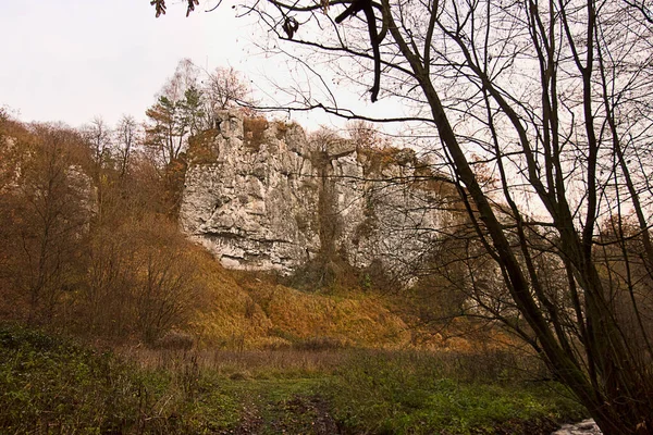 Autumn Landscape Rock Autumnal Forest — Stock Photo, Image