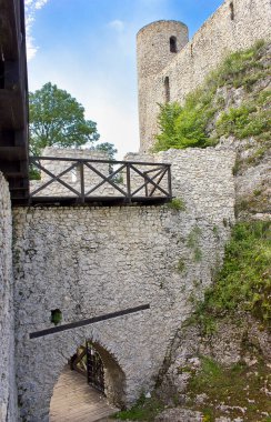 Çiçek açan elma ağacının dalına yakın çekimde pembe çiçekler.