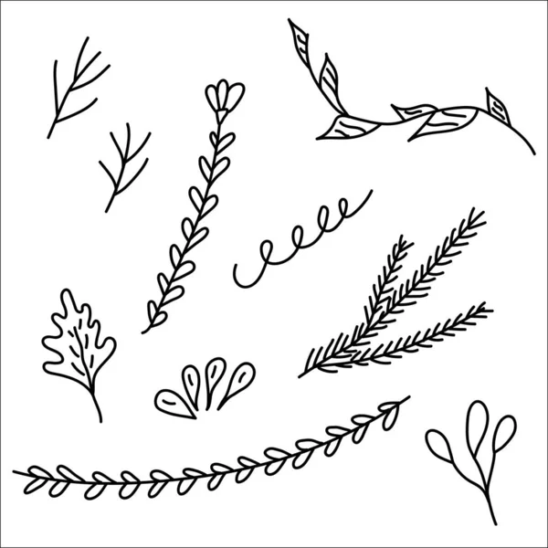 Serie di rami disegnati a mano. Doodle di elementi floreali. Illustrazione vettoriale. — Vettoriale Stock