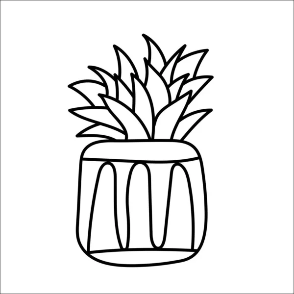 Pianta succulenta in doodle vaso da fiori. Illustrazione disegnata a mano della linea hygge. Arte vettoriale — Vettoriale Stock