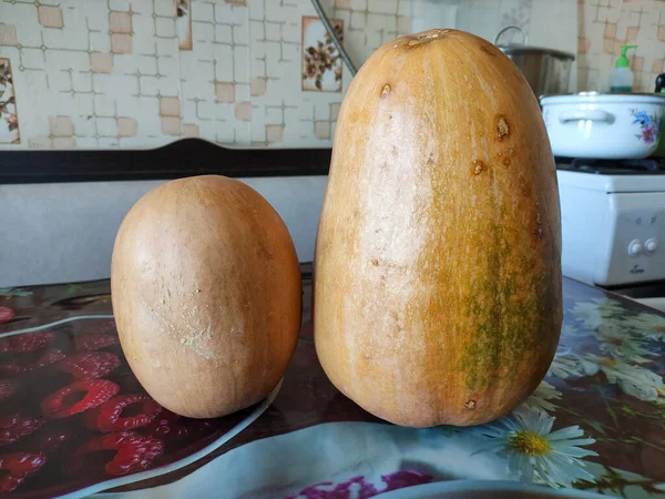 Twee Rijpe Pompoenen Een Tafel Een Keuken — Stockfoto